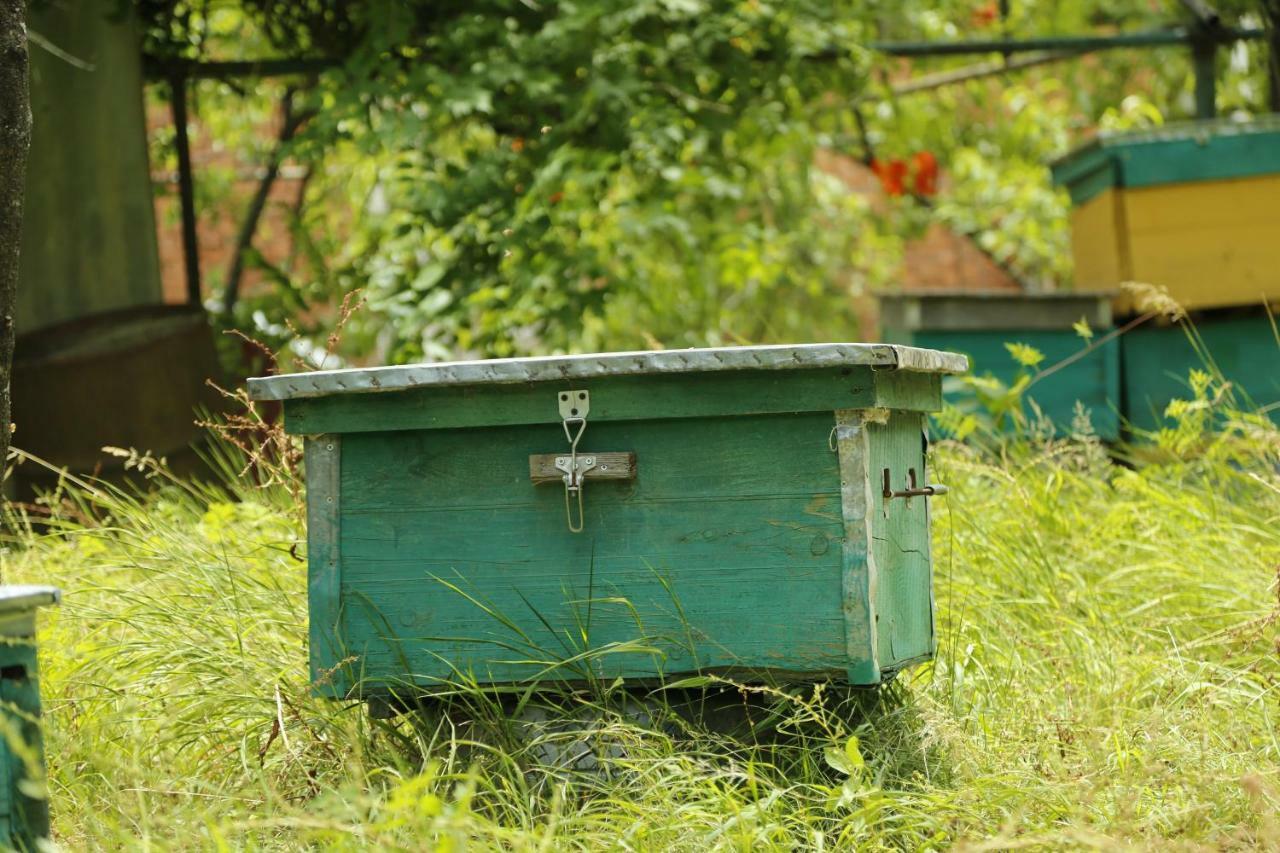 Beehives Apartment Kutaisi Luaran gambar