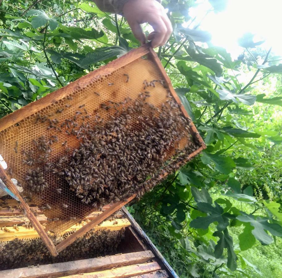 Beehives Apartment Kutaisi Luaran gambar